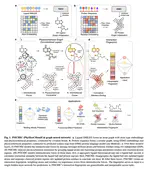 Research was Published by Nature Machine Intelligence (June 2024)