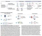Research was Published by Nature Reviews Bioengineering (Sep 2025)