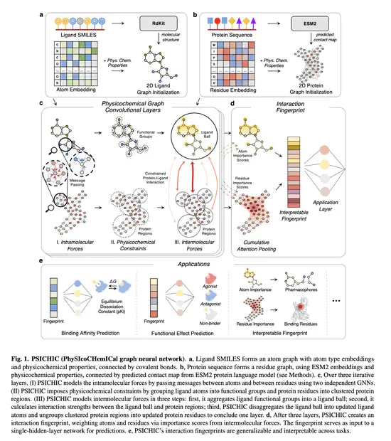 PSICHIC: physicochemical graph neural network for learning protein-ligand interaction fingerprints from sequence data